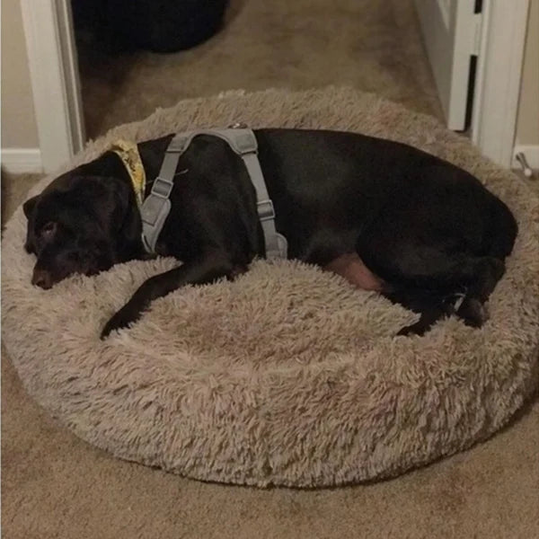 Calming Donut Dog Bed — Plush Faux Fur Crate Bed for Anxiety Relief