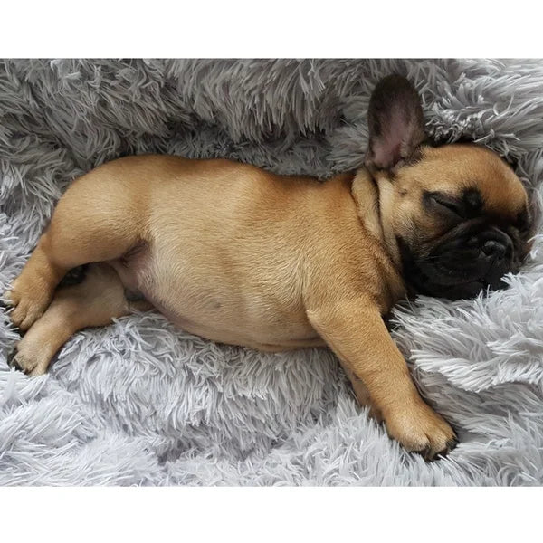 Calming Donut Dog Bed — Plush Faux Fur Crate Bed for Anxiety Relief