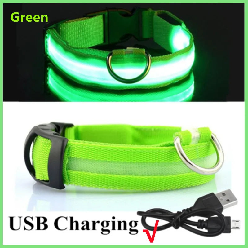 USB Rechargeable LED Dog Collar — Safe Night Walks