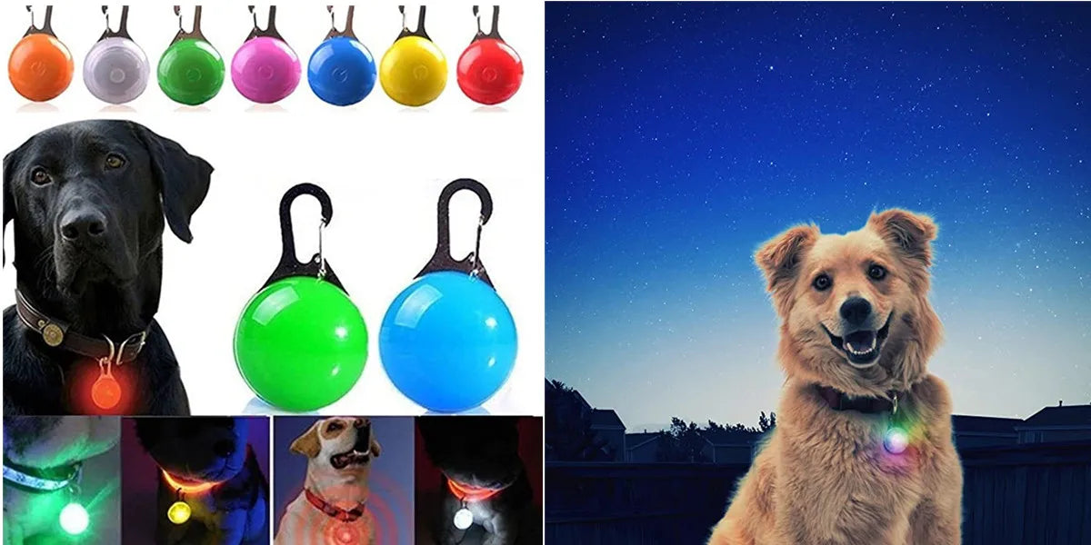 USB Rechargeable LED Dog Collar — Safe Night Walks