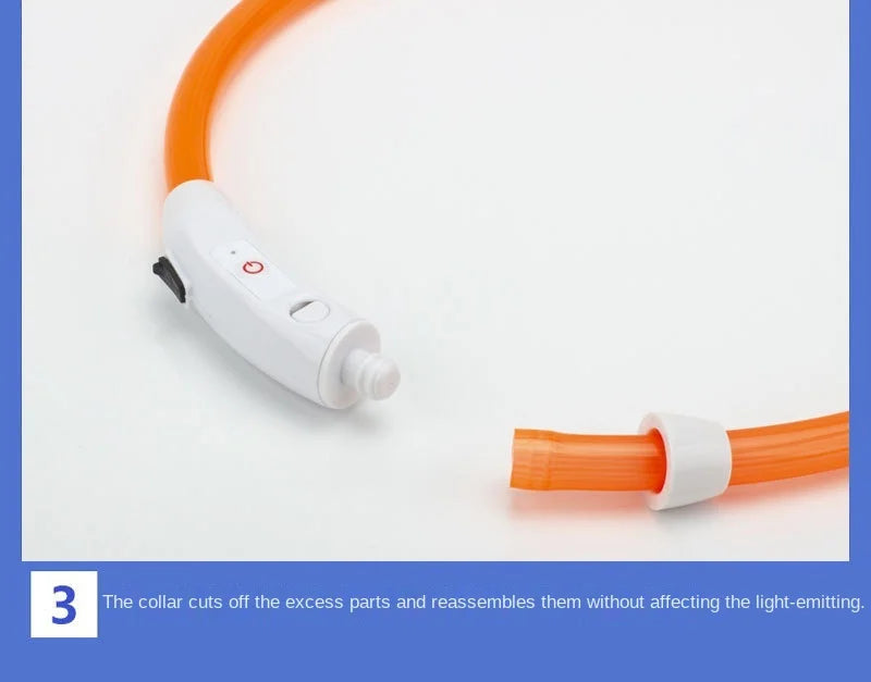USB Rechargeable LED Dog Collar — Safe Night Walks