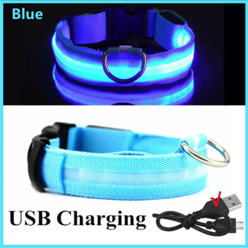 USB Rechargeable LED Dog Collar — Safe Night Walks