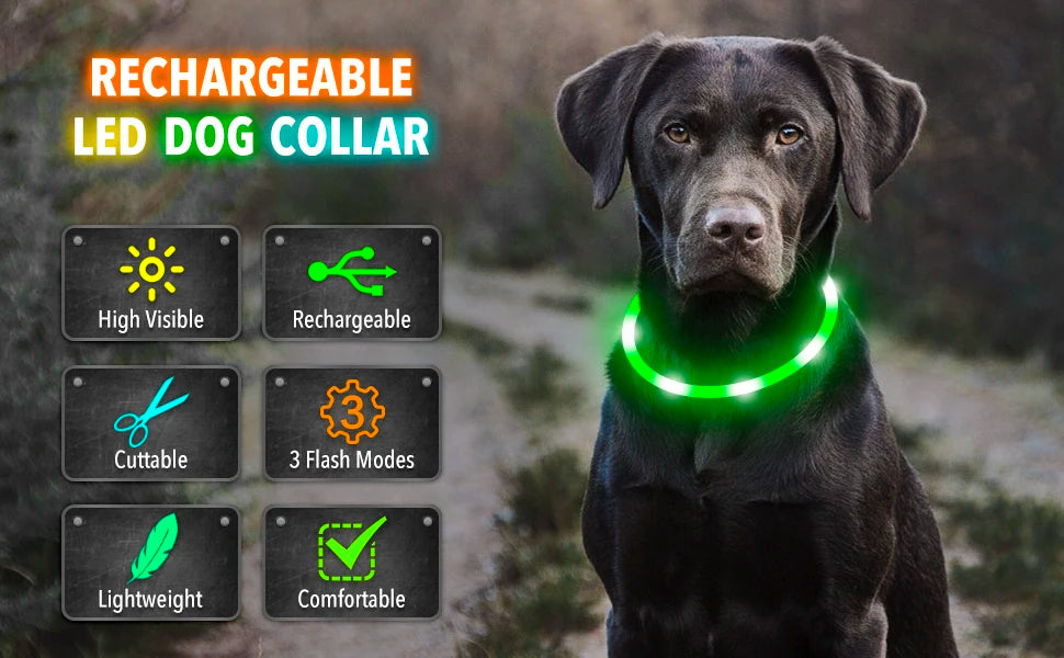 USB Rechargeable LED Dog Collar — Safe Night Walks