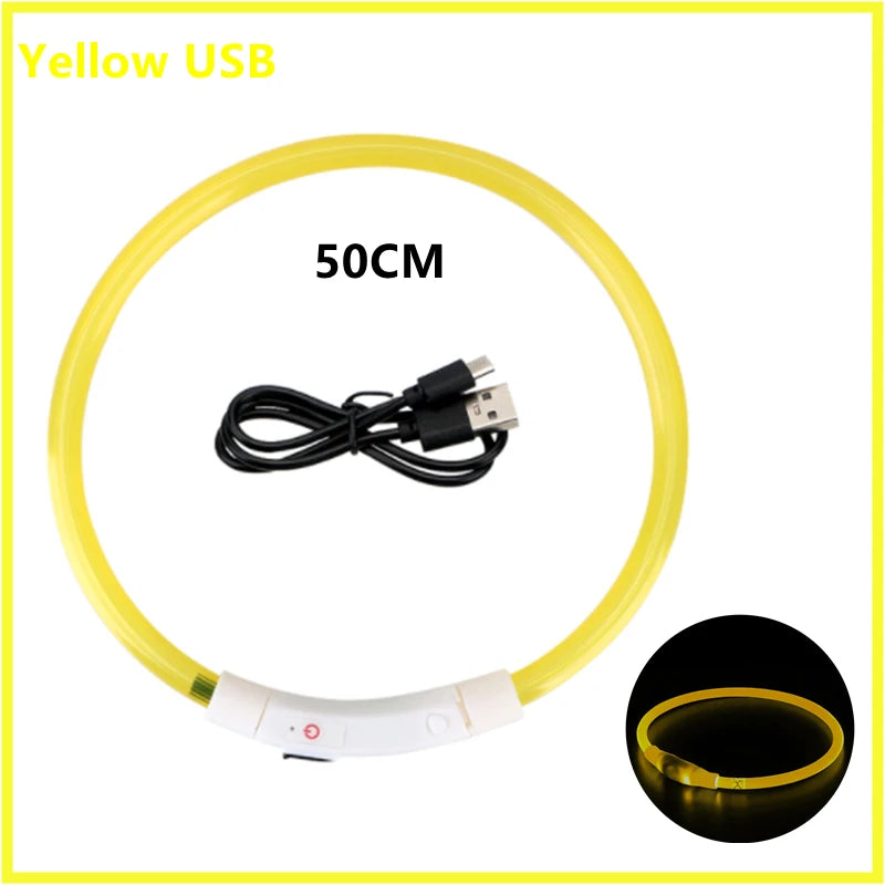 USB Rechargeable LED Dog Collar — Safe Night Walks