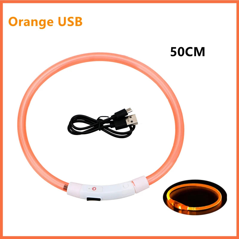 USB Rechargeable LED Dog Collar — Safe Night Walks