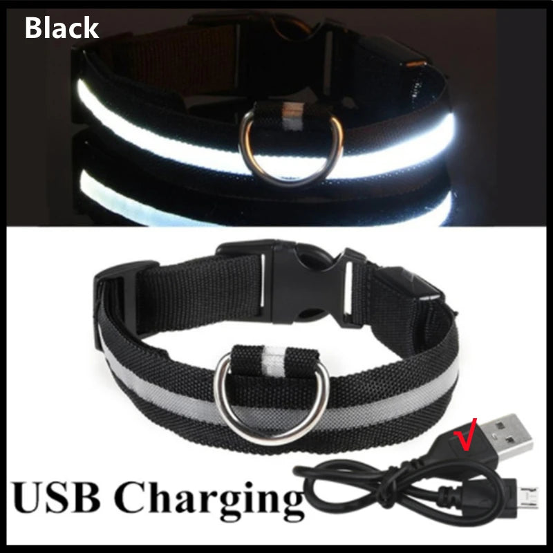 USB Rechargeable LED Dog Collar — Safe Night Walks
