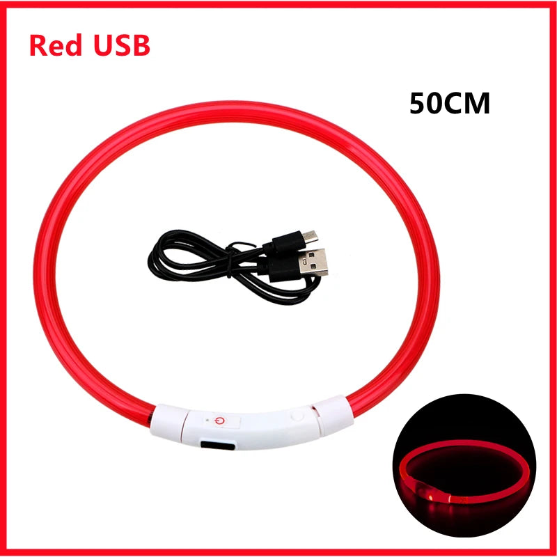 USB Rechargeable LED Dog Collar — Safe Night Walks