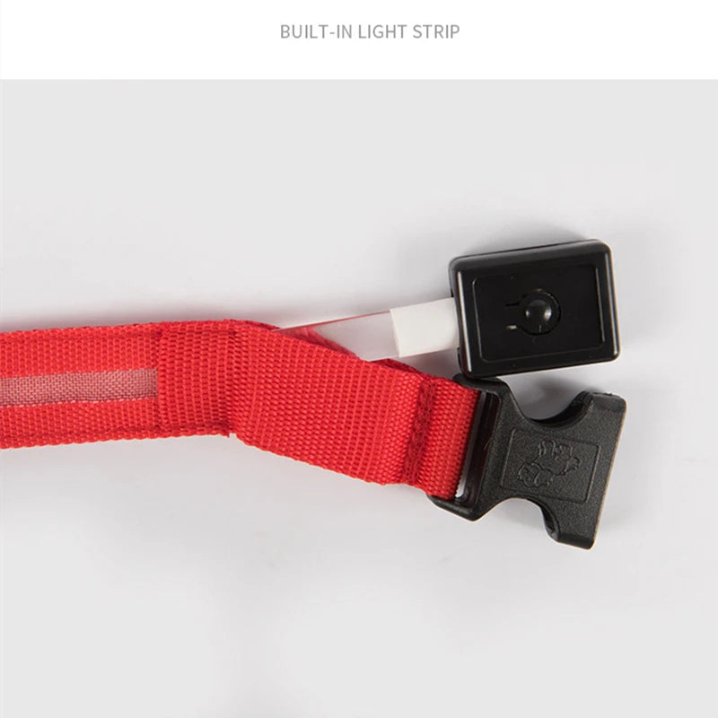 USB Rechargeable LED Dog Collar — Safe Night Walks