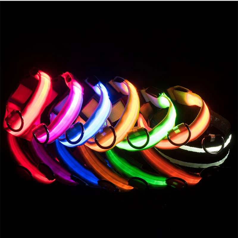 USB Rechargeable LED Dog Collar — Safe Night Walks