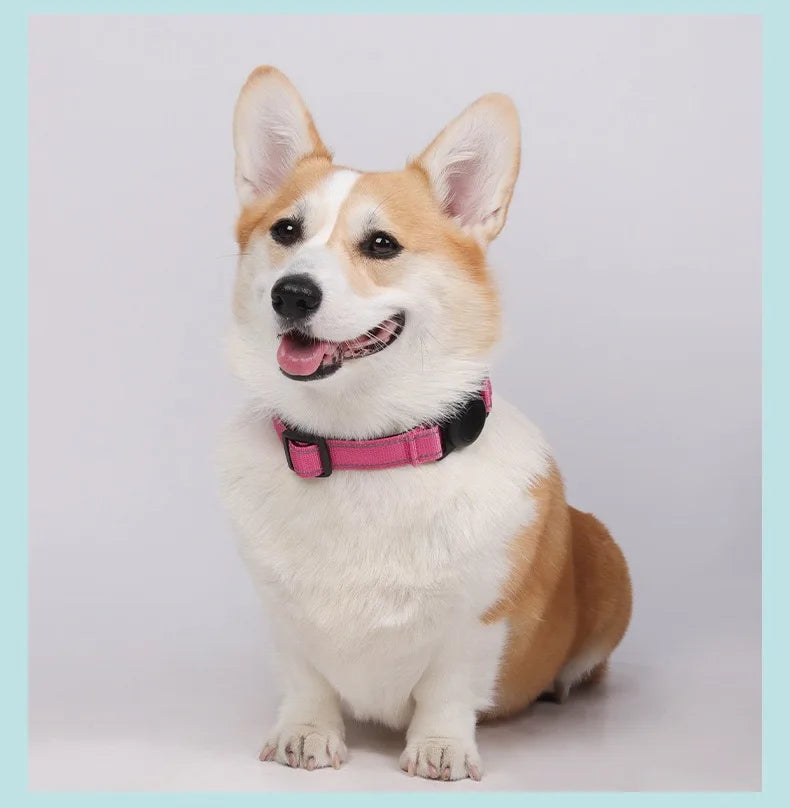 AirTag Dog Collar Holder — Silicone Protective Case for Pet Tracking