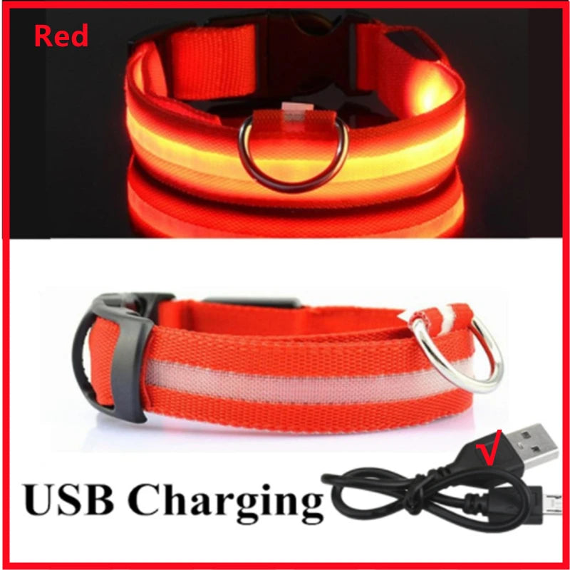 USB Rechargeable LED Dog Collar — Safe Night Walks