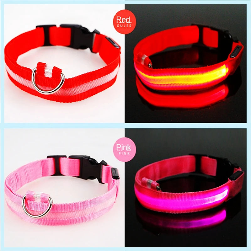 USB Rechargeable LED Dog Collar — Safe Night Walks