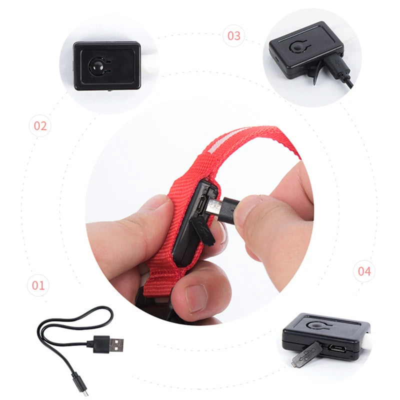USB Rechargeable LED Dog Collar — Safe Night Walks