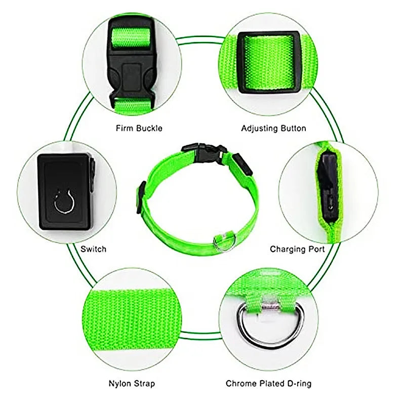 USB Rechargeable LED Dog Collar — Safe Night Walks