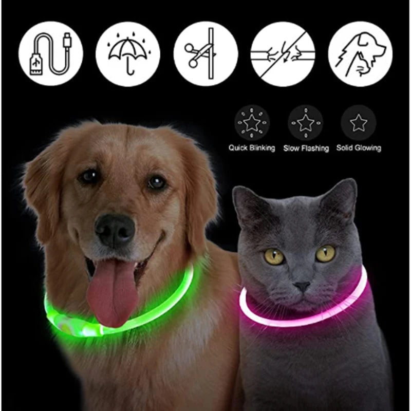 USB Rechargeable LED Dog Collar — Safe Night Walks