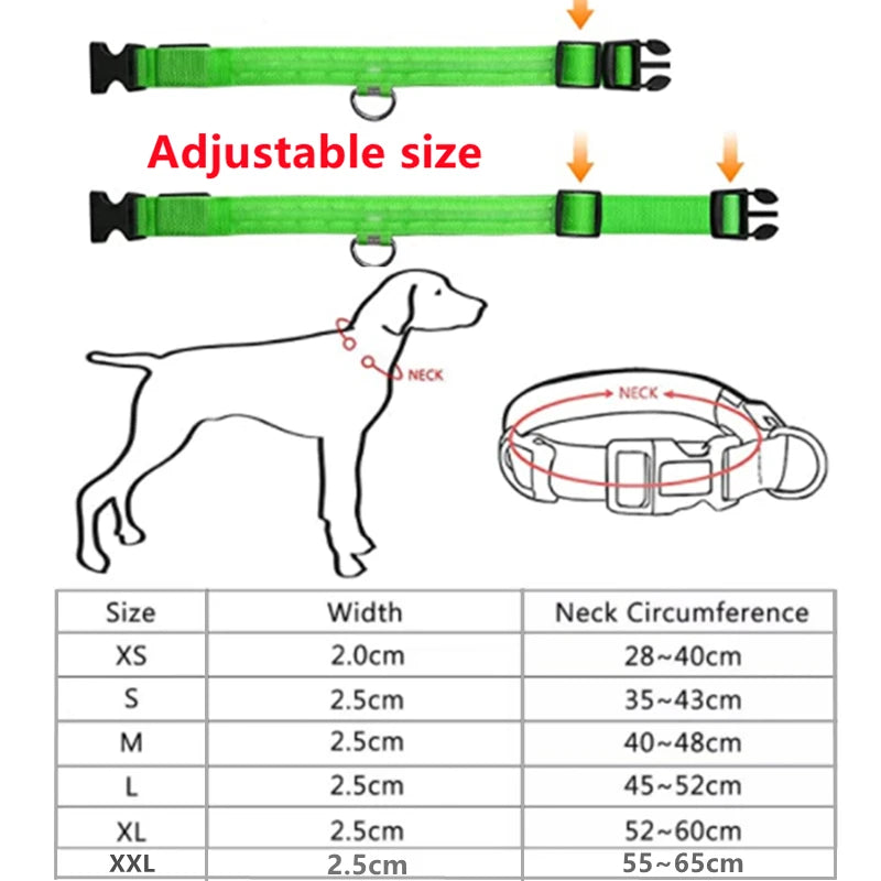 USB Rechargeable LED Dog Collar — Safe Night Walks
