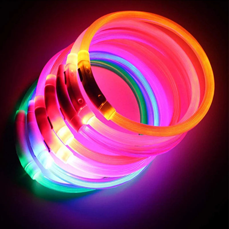 USB Rechargeable LED Dog Collar — Safe Night Walks