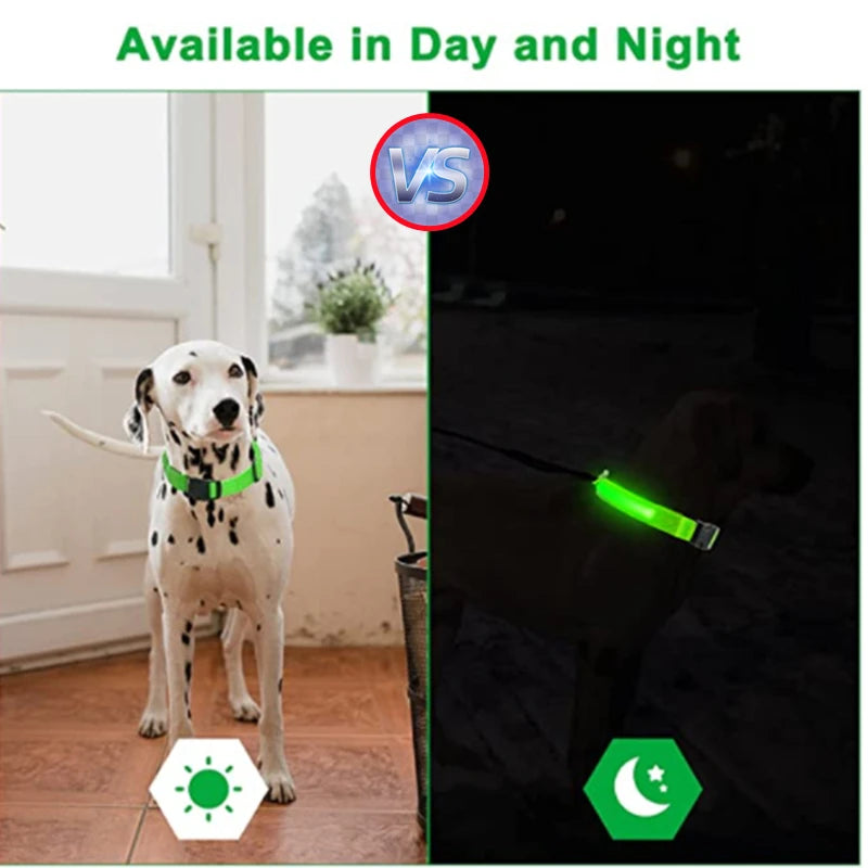 USB Rechargeable LED Dog Collar — Safe Night Walks