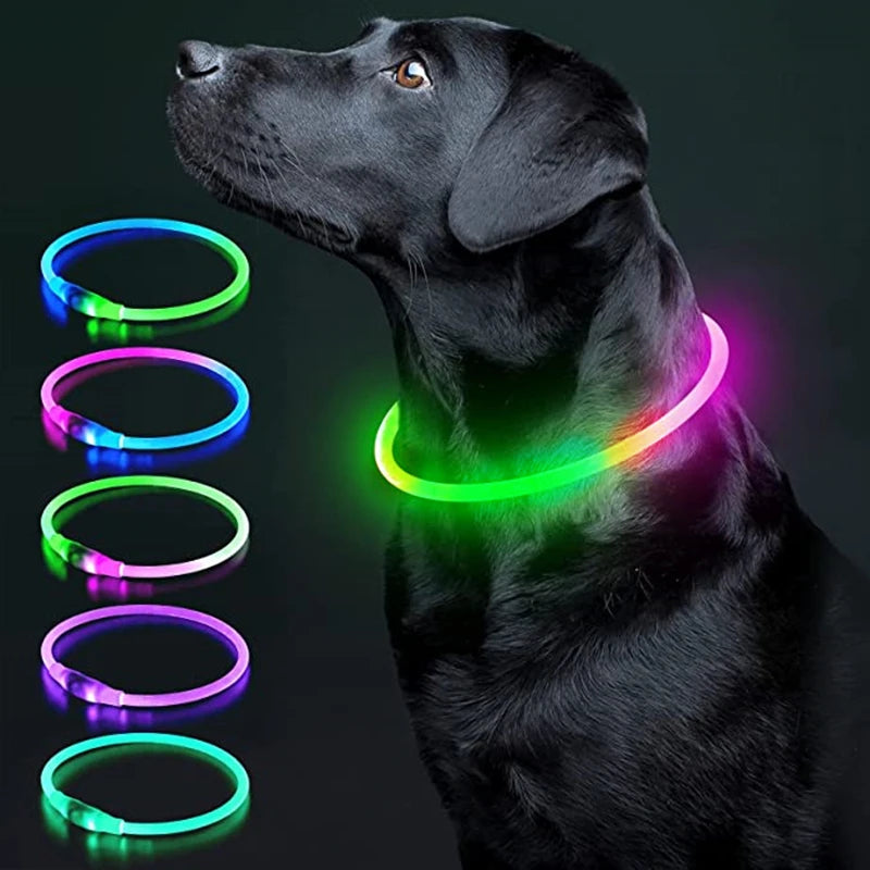 USB Rechargeable LED Dog Collar — Safe Night Walks