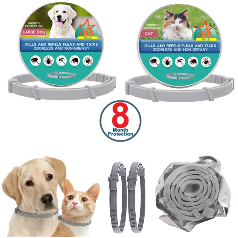 USB Rechargeable LED Dog Collar — Safe Night Walks