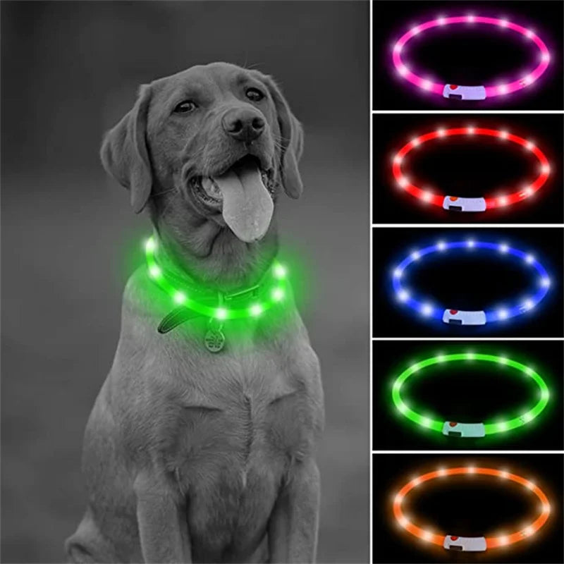 USB Rechargeable LED Dog Collar — Safe Night Walks