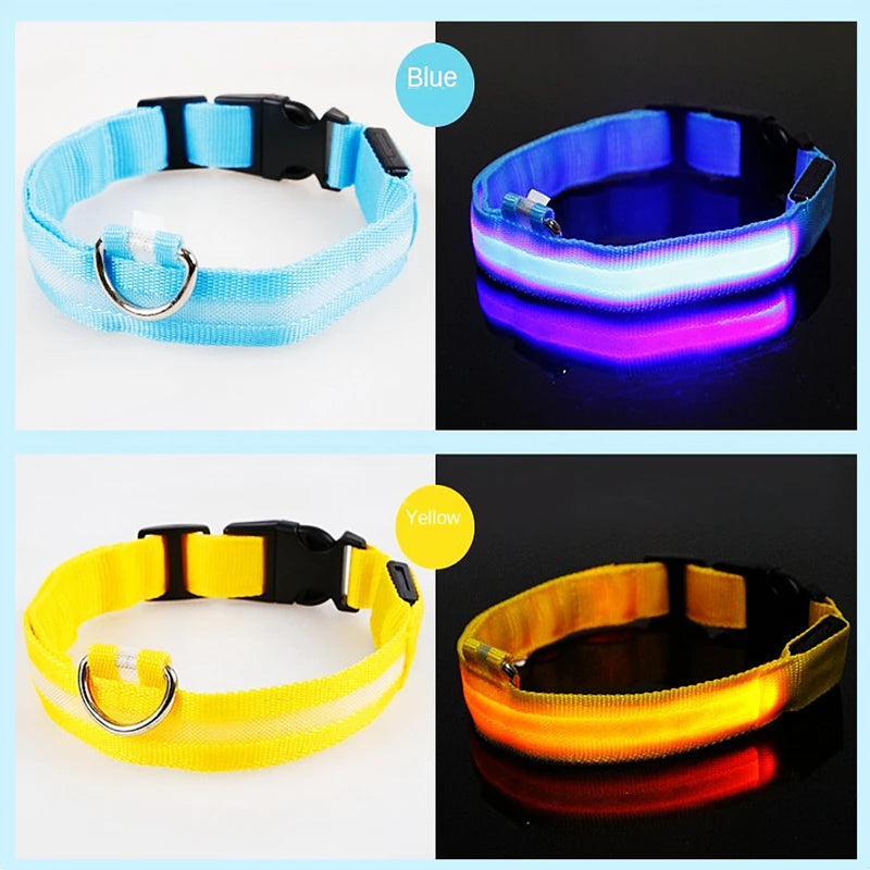 USB Rechargeable LED Dog Collar — Safe Night Walks