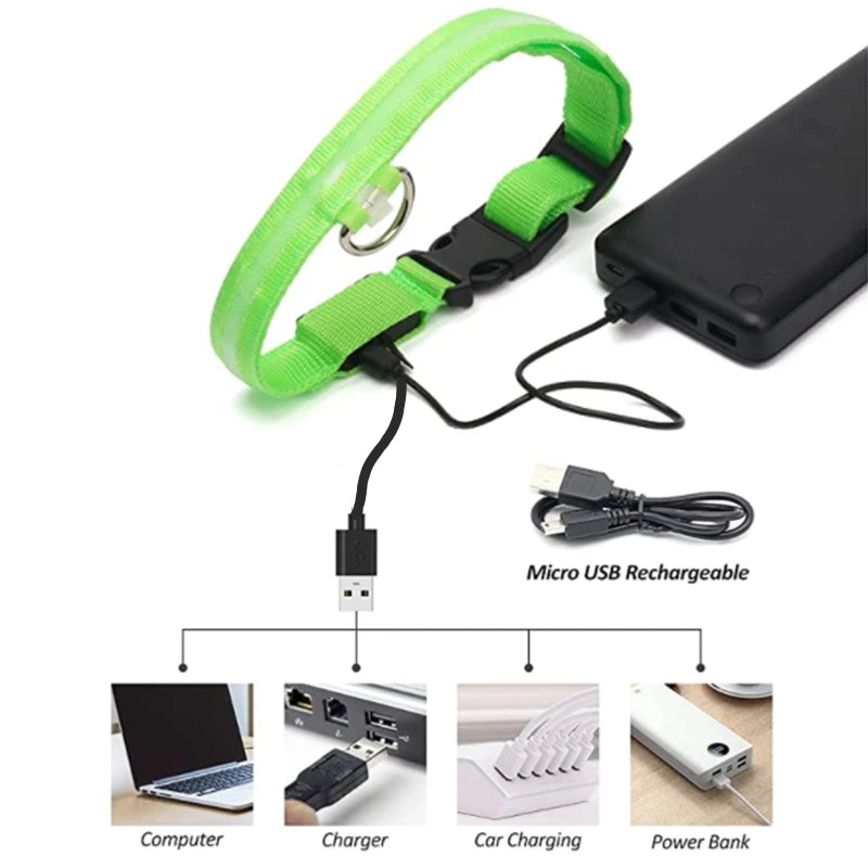 USB Rechargeable LED Dog Collar — Safe Night Walks