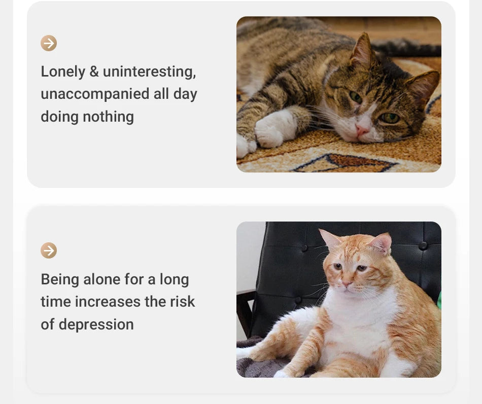 Automatic Laser Cat Toy — USB Rechargeable Interactive Cat Exercise
