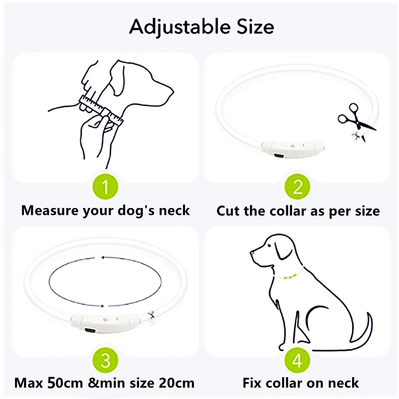 USB Rechargeable LED Dog Collar — Safe Night Walks