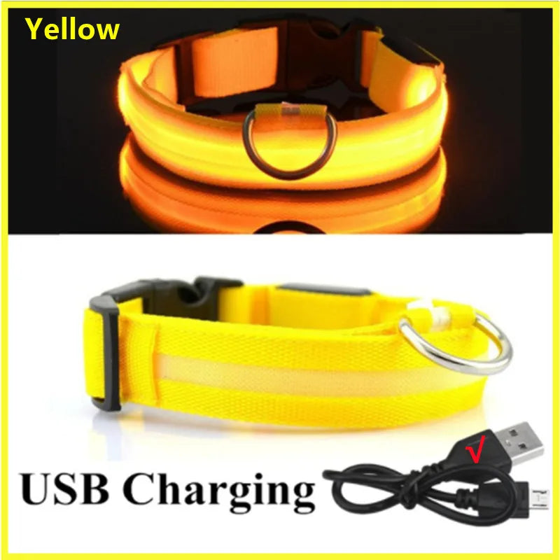 USB Rechargeable LED Dog Collar — Safe Night Walks