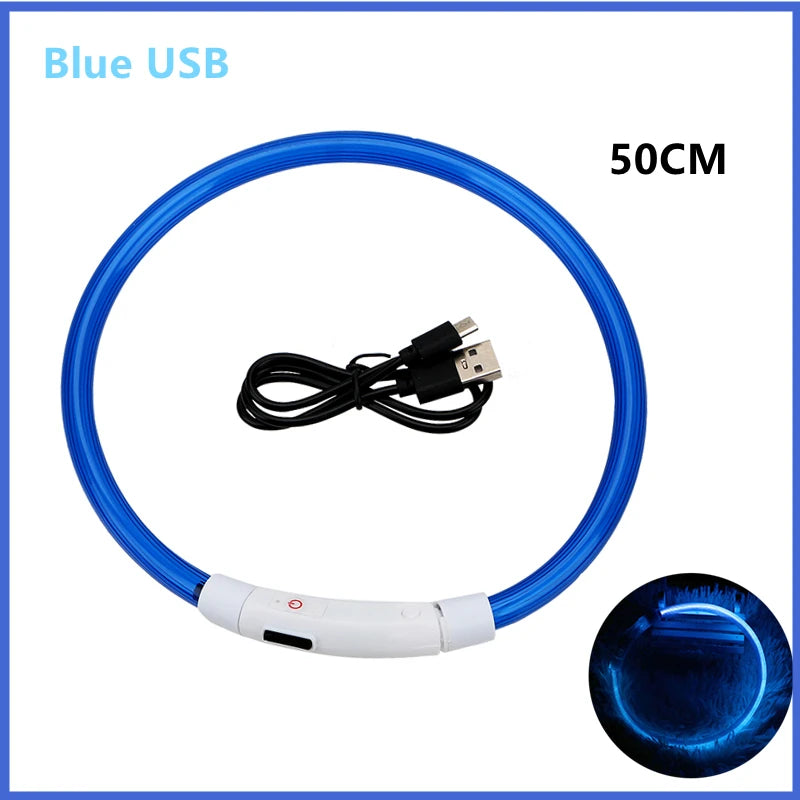 USB Rechargeable LED Dog Collar — Safe Night Walks
