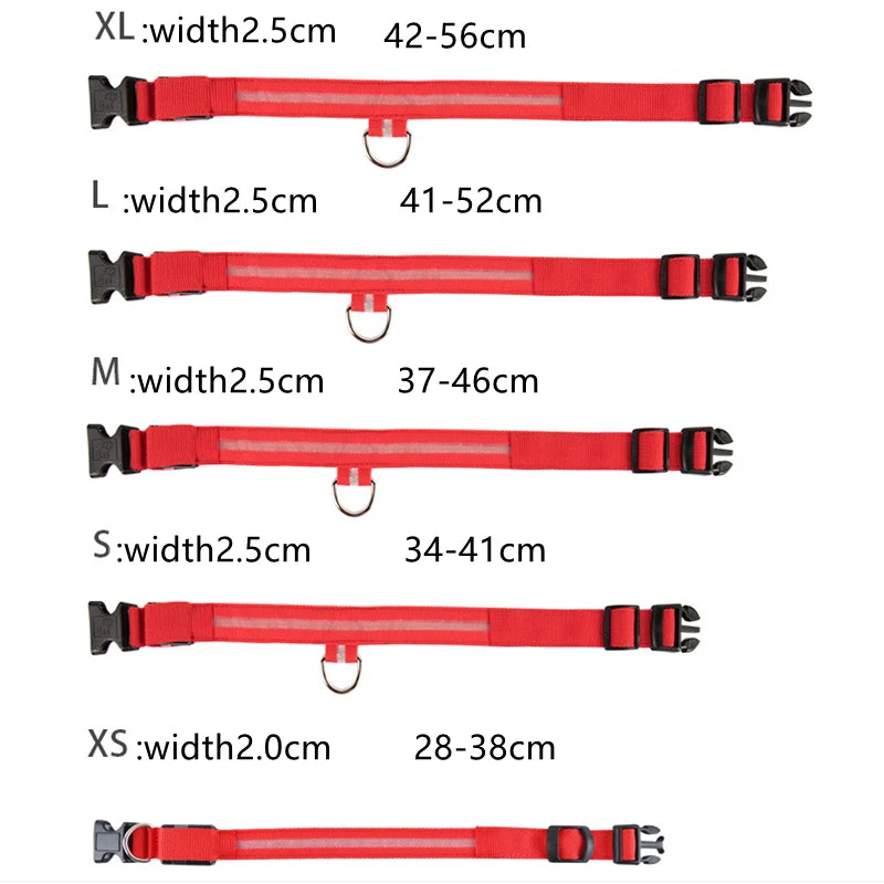 USB Rechargeable LED Dog Collar — Safe Night Walks