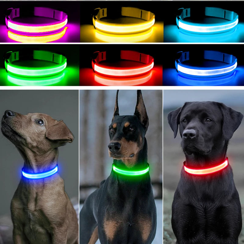 USB Rechargeable LED Dog Collar — Safe Night Walks