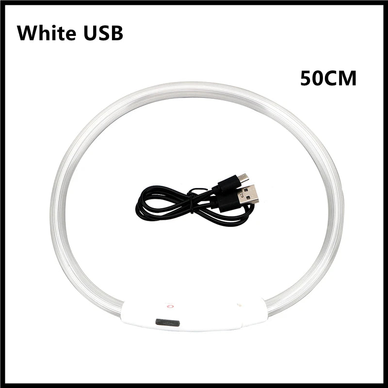 USB Rechargeable LED Dog Collar — Safe Night Walks