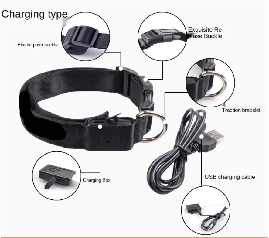 USB Rechargeable LED Dog Collar — Safe Night Walks