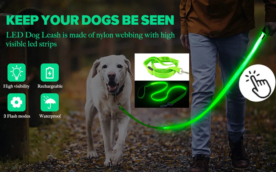 USB Rechargeable LED Dog Collar — Safe Night Walks