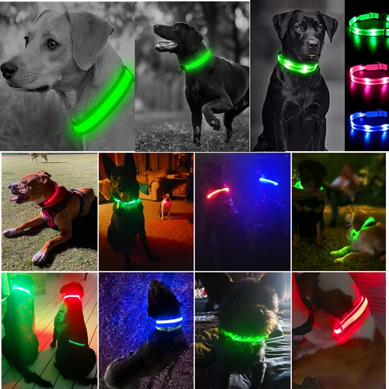 USB Rechargeable LED Dog Collar — Safe Night Walks