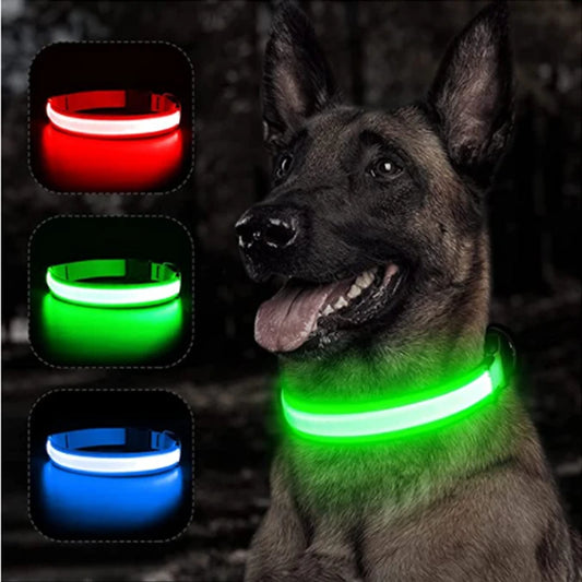 USB Rechargeable LED Dog Collar — Safe Night Walks