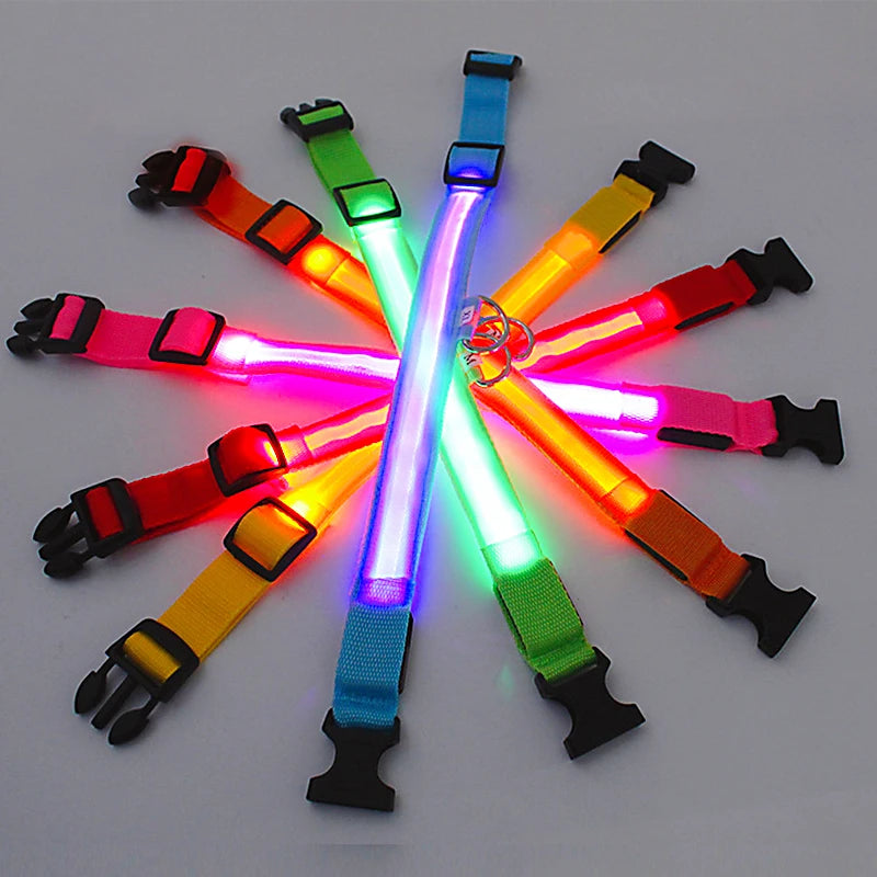 USB Rechargeable LED Dog Collar — Safe Night Walks