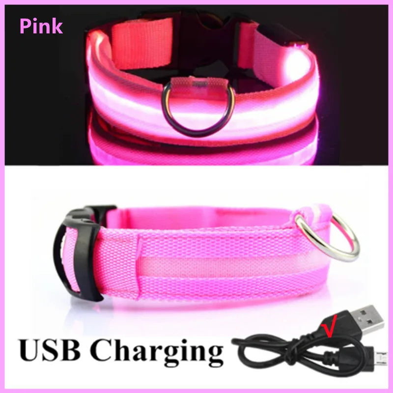 USB Rechargeable LED Dog Collar — Safe Night Walks