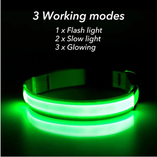 USB Rechargeable LED Dog Collar — Safe Night Walks