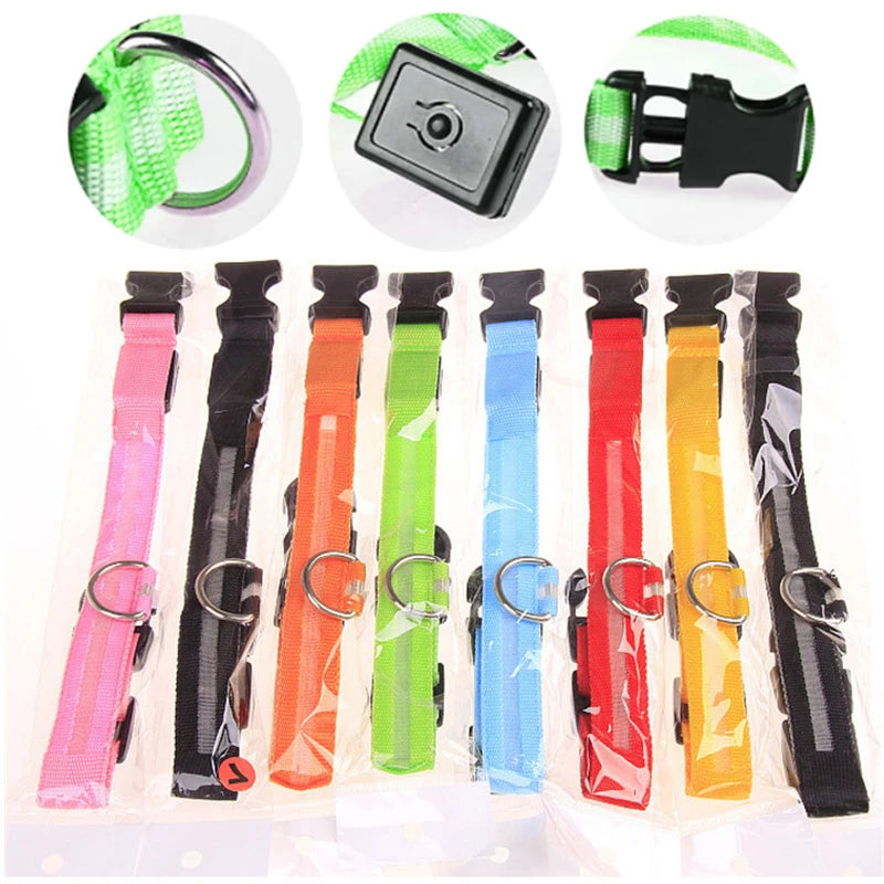 USB Rechargeable LED Dog Collar — Safe Night Walks