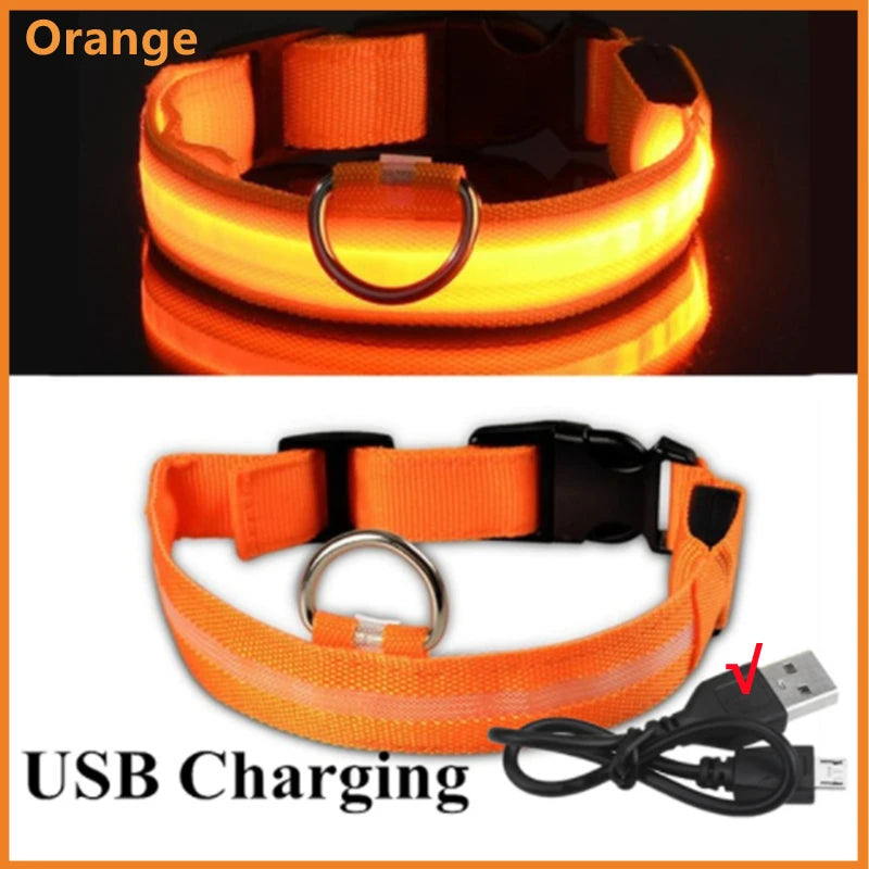 USB Rechargeable LED Dog Collar — Safe Night Walks