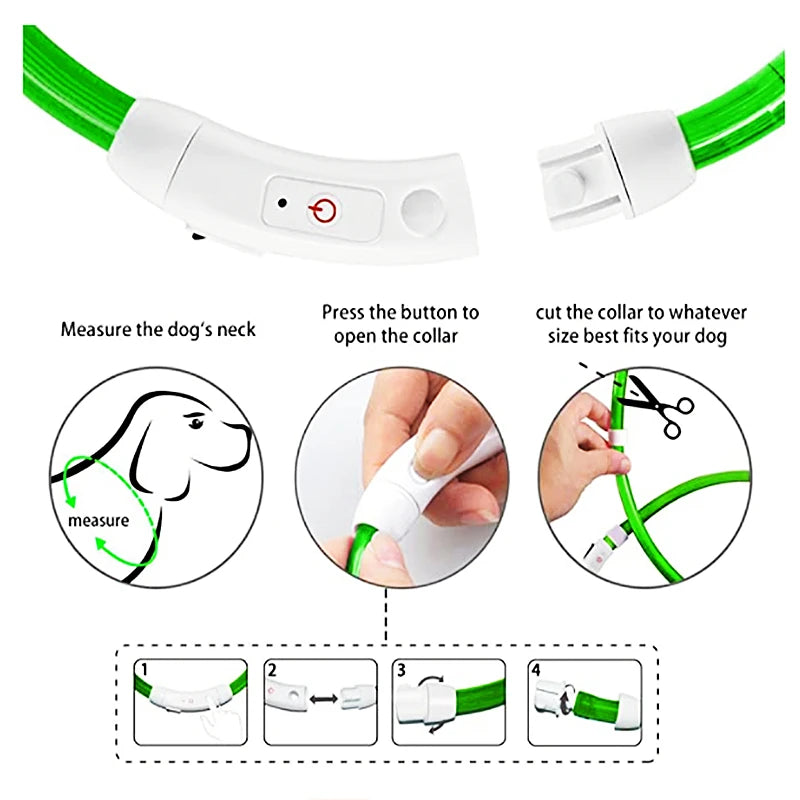 USB Rechargeable LED Dog Collar — Safe Night Walks
