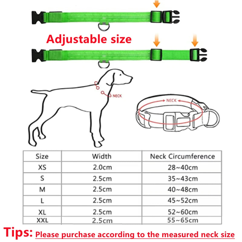 USB Rechargeable LED Dog Collar — Safe Night Walks