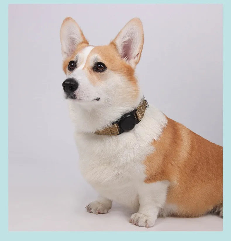 AirTag Dog Collar Holder — Silicone Protective Case for Pet Tracking
