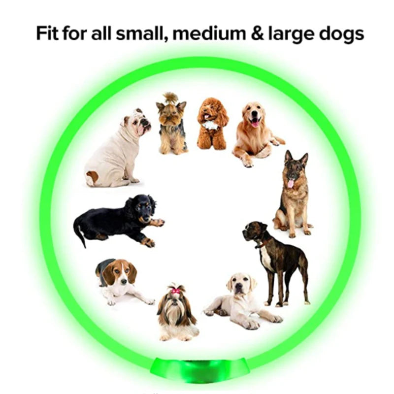 USB Rechargeable LED Dog Collar — Safe Night Walks