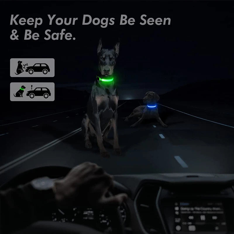 USB Rechargeable LED Dog Collar — Safe Night Walks
