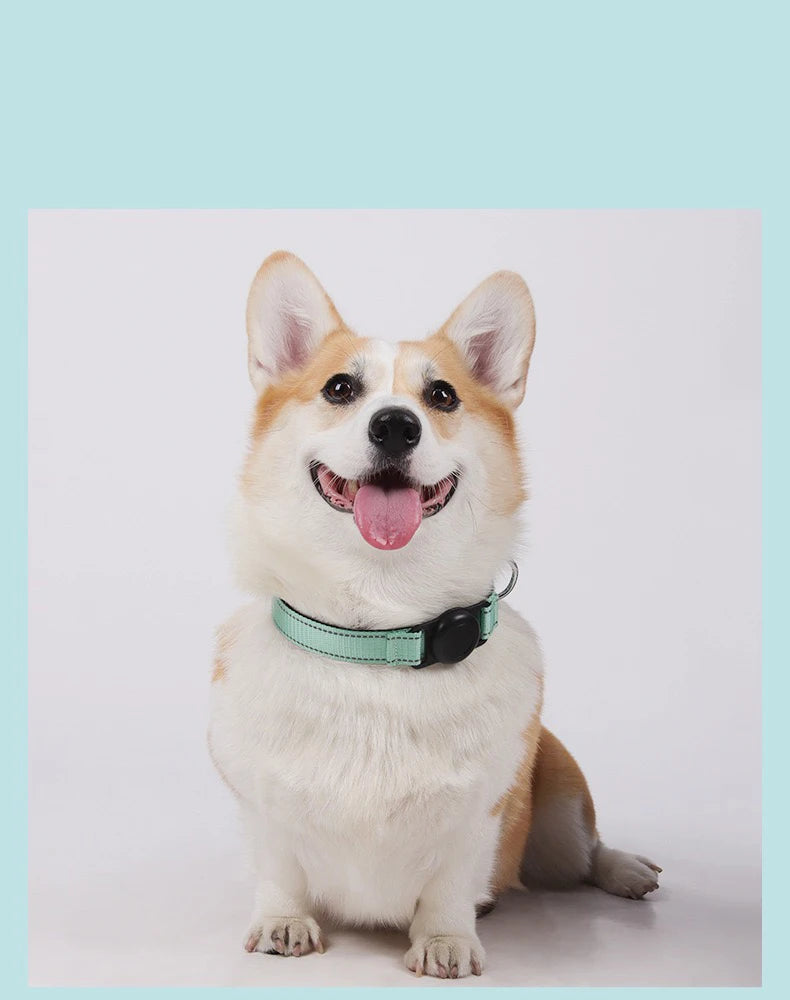 AirTag Dog Collar Holder — Silicone Protective Case for Pet Tracking