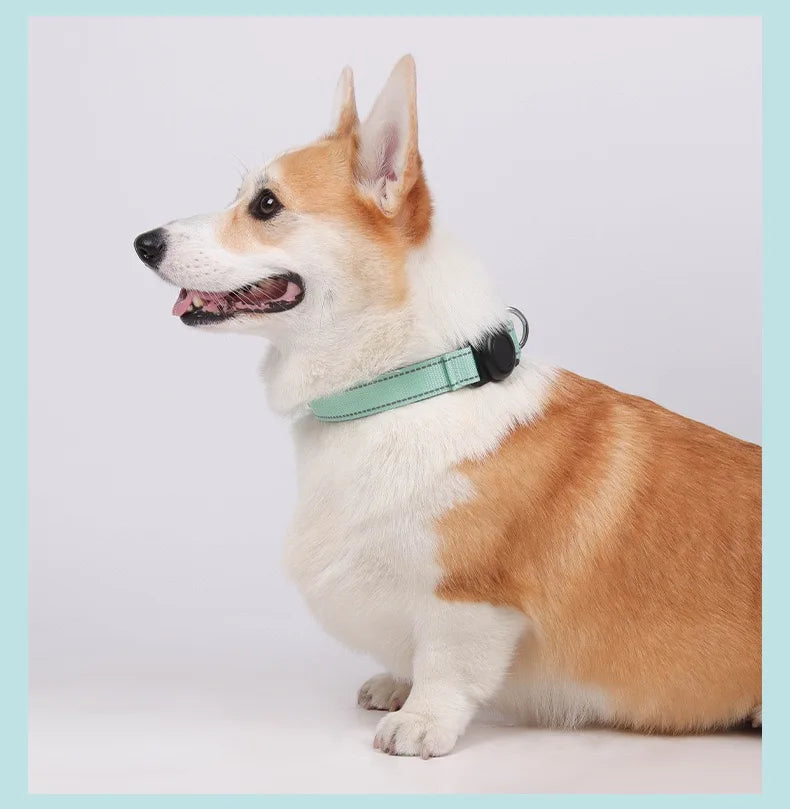 AirTag Dog Collar Holder — Silicone Protective Case for Pet Tracking